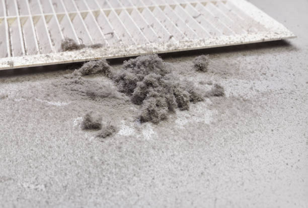 Best Duct Cleaning Specialists  in Geistown, PA